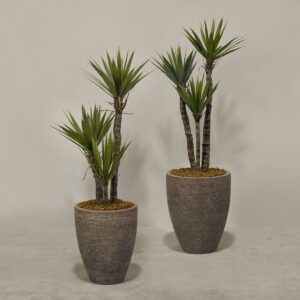 نبات يوكا اصطناعي في أصيص