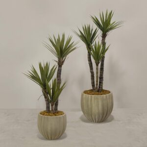 نبتة يوكا اصطناعية في أصيص