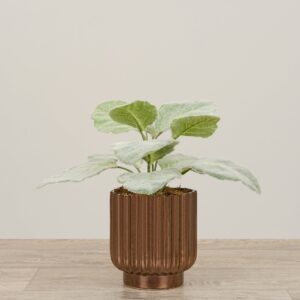 نبتة السالفيا الصناعية في مزهریة خزفية