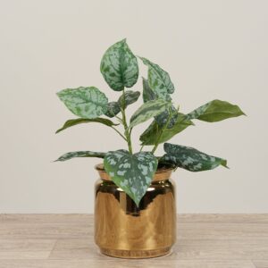 تنسيق نبات سيندابسوس صناعي في مزهرية خزفية