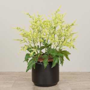 نبات أسكليبياس صناعية مُنسّق في مزهرية خزفية