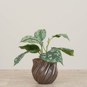 تنسيق بغونيا صناعية