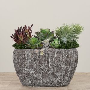 تنسيق نباتات عصارية اصطناعية