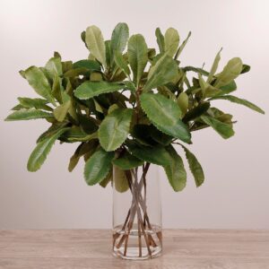 تشكيلة نباتات بانكسيا في مزهرية زجاجية