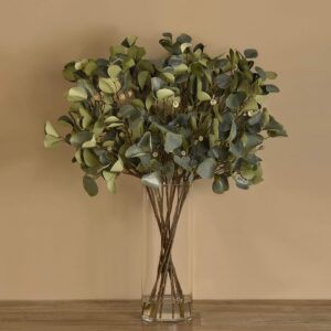 مزهرية زجاجية بأغصان أوكالبتوس