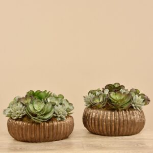 ترتيب نباتات عصارية صناعية