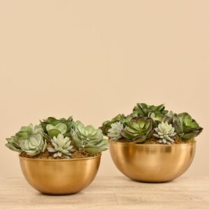 تنسيق نباتات عصارية اصطناعية