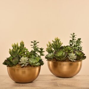 تنسيق نباتات عصارية اصطناعية