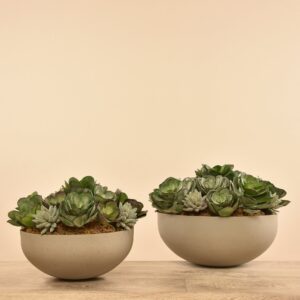 تنسيق نباتات عصارية صناعية للديكور