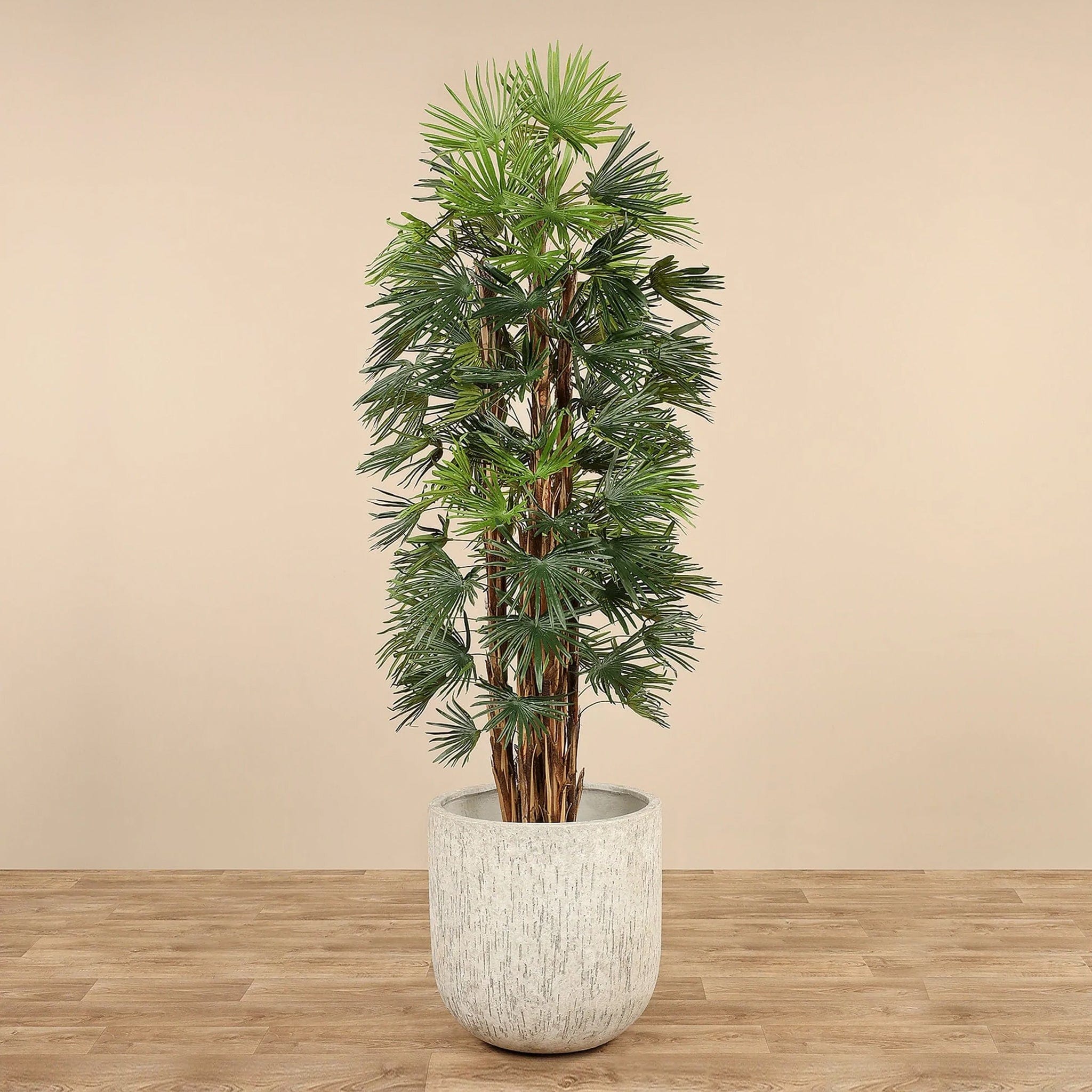 نخلة فوفل اصطناعية