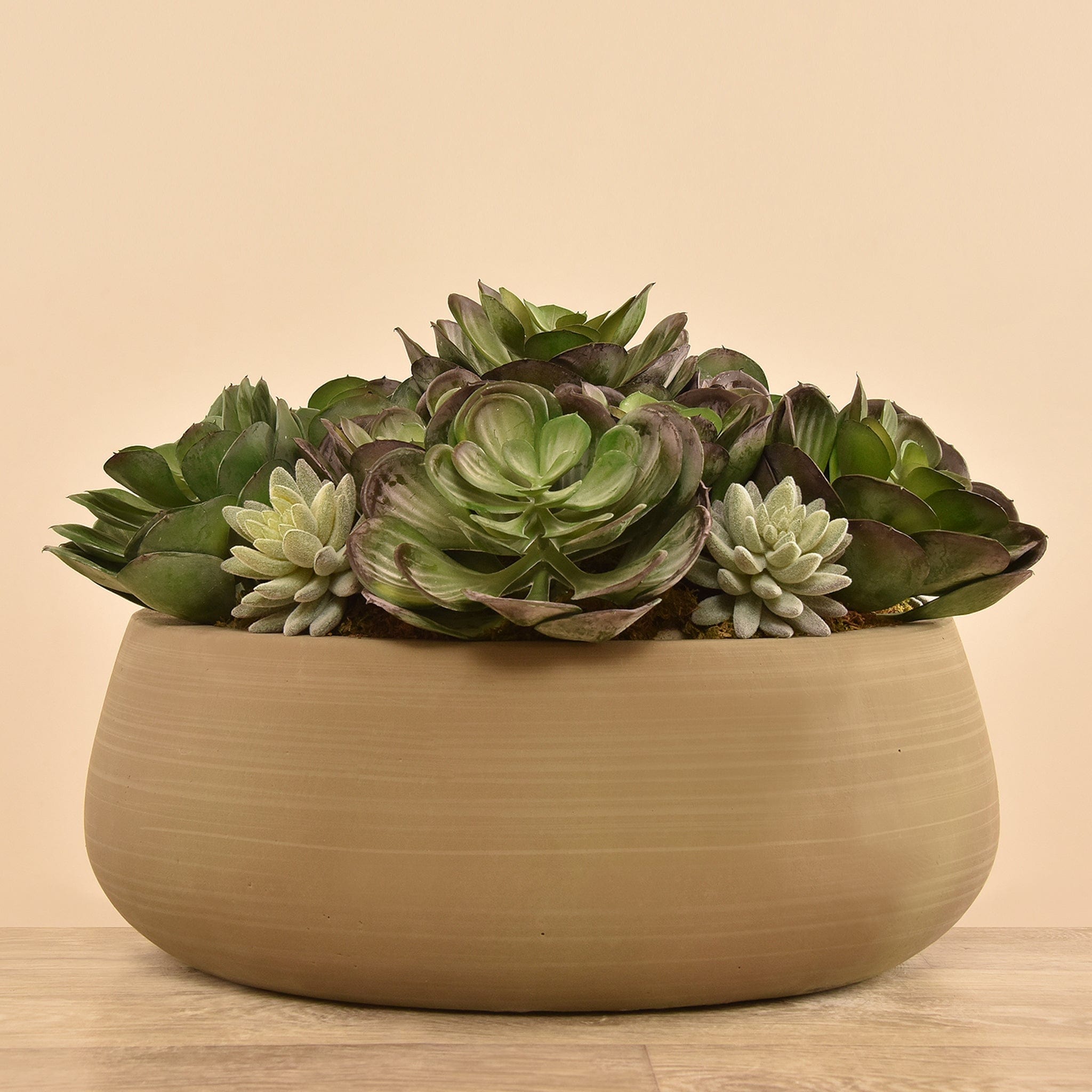 تشكيلة نباتات عصارية صناعية