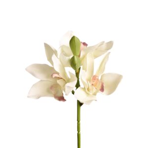 فرع متجر زهور الزورقان