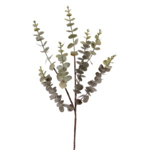 بخاخ الأوكالبتوس