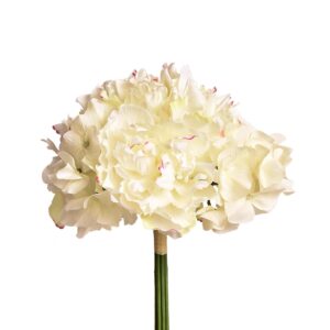 باقة فاوانيا وهيدرانجيا