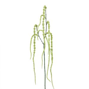 بخاخ أمارانثوس