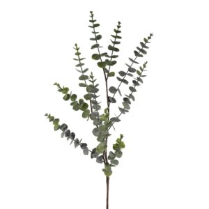 بخاخ الأوكالبتوس