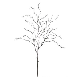 بخّاخ الصفصاف