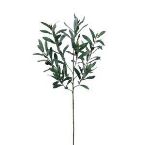 بخاخ زيت الزيتون