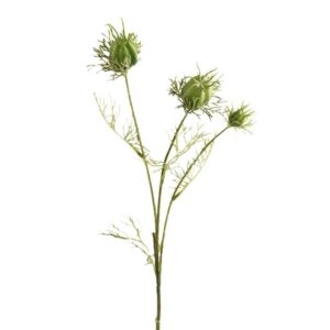 شونيز على الطريقة الدمشقية