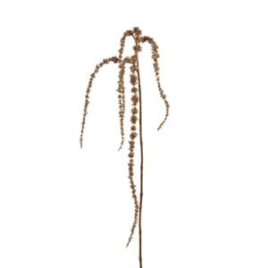 زهرة القطيفة المعدنية