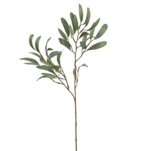 بخاخ الأوكالبتوس