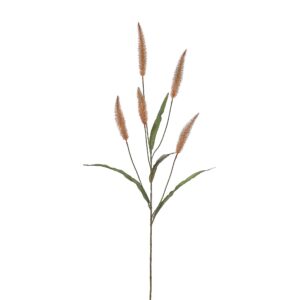 بخاخ بينيستوم