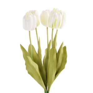 زهرة التوليب