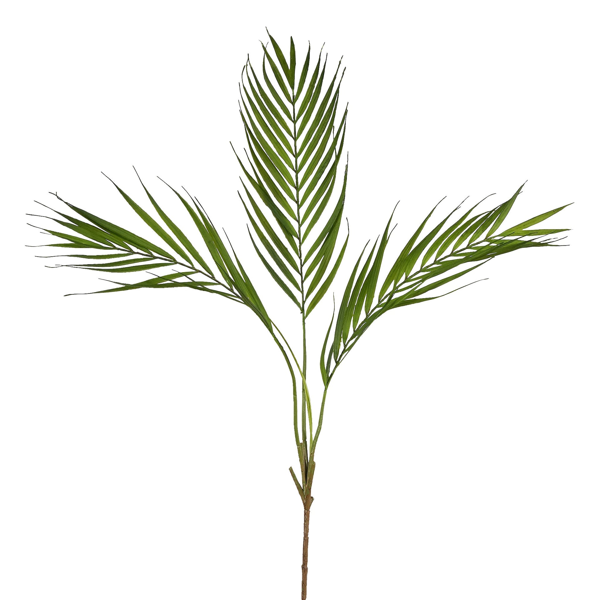 بخاخ النخيل