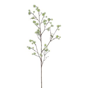 بخاخ كورنوس