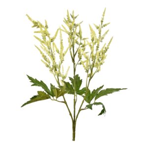 ساق أستيلبي