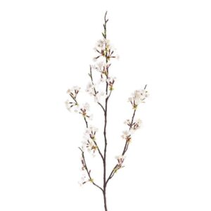 غصن مزهر من الشجرة