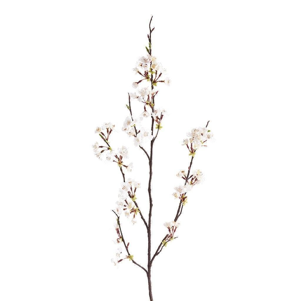 غصن مزهر من الشجرة