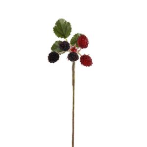 فراولة طازجة