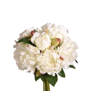 باقة فاوانيا مختلطة