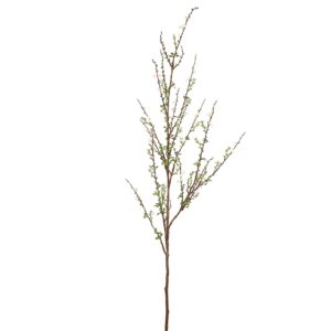 بخاخ سبيريا