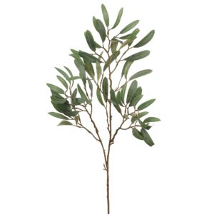 بخاخ الأوكالبتوس