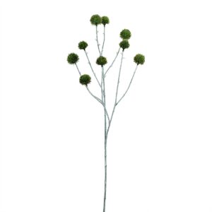 بخاخ إكينوبس