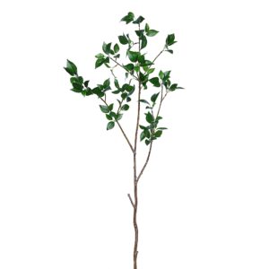 بخاخ الأوراق