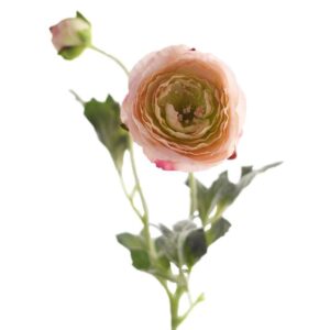 الأحسن فصحى: "أحذية" (البديل المباشر والرسمي)