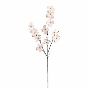 غصن زهرة القرانيا المخملية