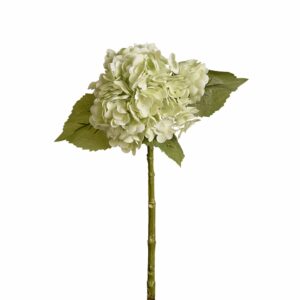 هدرانج (الاسم الأصلي)