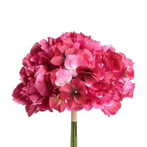 باقة فاوانيا وهدرانج