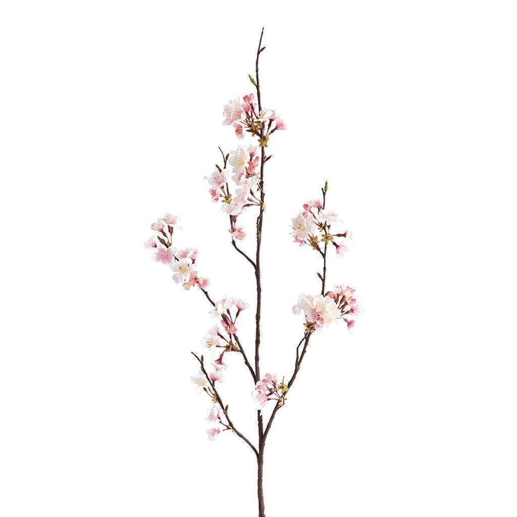 غصن مزهر من الشجرة