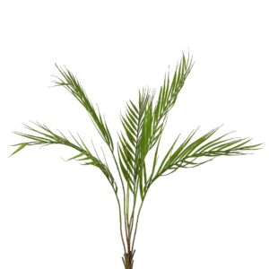 بخاخ النخيل