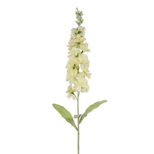 زهرة الدلفينيوم