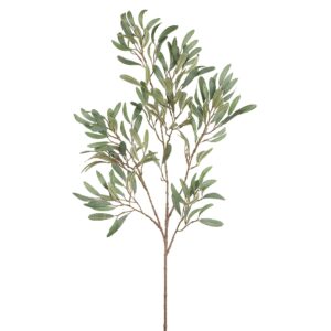 بخاخ الأوكالبتوس