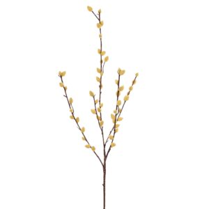 بخاخ الصفصاف