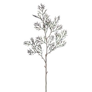 ورقة شجرة البتولا الفضية