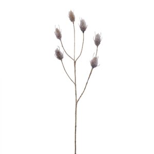 بخاخ ذيل الأرنب