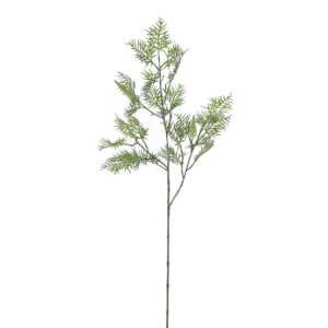 بخاخ أوراق الجريفيليا